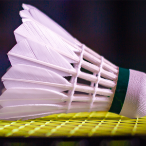 SHUTTLECOCK
